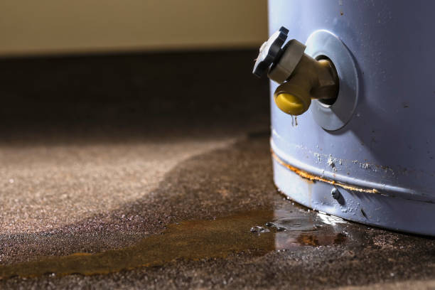 Best Basement water damage restoration  in Catlettsburg, KY