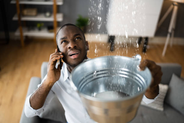 Best Water damage cleanup near me  in Catlettsburg, KY