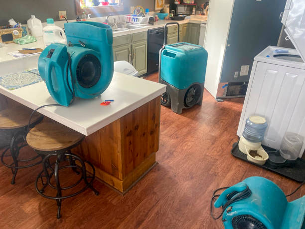 Best 24-hour water damage restoration  in Catlettsburg, KY