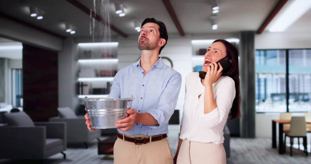 Best Fire Damage Restoration  in Catlettsburg, KY