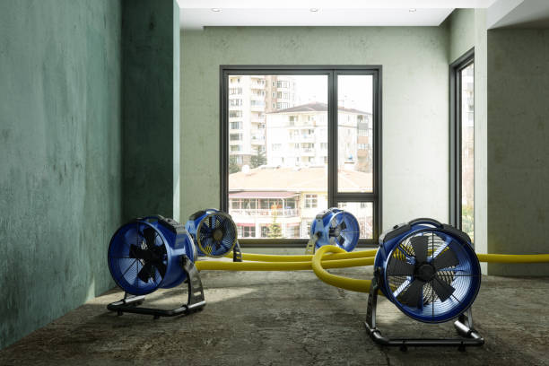 Best Emergency water damage restoration  in Catlettsburg, KY